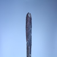 Gallery Thumb