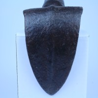 Gallery Thumb