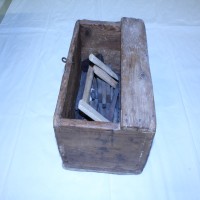 Gallery Thumb